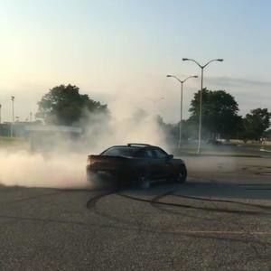 Meet your Posher, Timmy